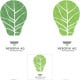 Logos für Energiekonzern mit erneuerbaren Energien, fiktiver Auftrag