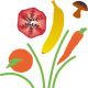 Logo für Ernährung & Gesundheit