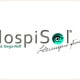 HospiSol Logo