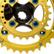 12 Reverse Chainring Race SL 2fach Crankset gold back