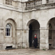 Horse Guard