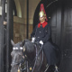 Horse Guard – London