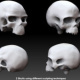 2 skulls