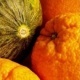 Honigmelone und Orangen