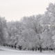 Winter---Impression-XI