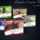 Design for all 5 CD collection for Chamber Orchestra Kremlin.