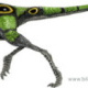 Black Compsognathus