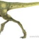 Green Compsognathus