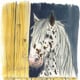 aus „der Pferdeflüsterer“ in „Pferdegeschichten“, Kinderleicht Wissen Verlag 2010