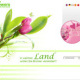 Gestaltung des Online-Shops für den Weltblumendienst ’Jollyflowers’