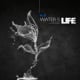 „WATER IS LIFE“ – Corporate Identity