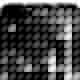 hase 4
