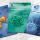 Print: diverse Flyer eines Biotechunternehmens