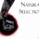 Storyboard for “Natural Selection”.