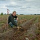 Reportage Peter Nilsson Organic Farmer