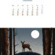 Kalenderillustration für den Kalender ‚Ein Jahr durch Wald und Flur‘ in Kooperation mit anderen Designern
