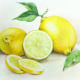 “LEMONS” – Aquarell