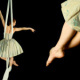 Serie „Ballett“, Studienarbeit