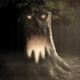 Treehugger’s Nightmare