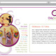 GilaSchool Website – Gilakteure 5-7 Jahre