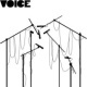 voice