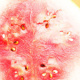 Food Fotografie 2012 Wassermelone 01