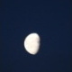 Natur 2012 Mond 01