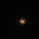 Natur 2012 Mond 04