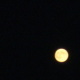 Natur 2012 Mond 08