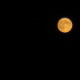 Natur 2012 Mond 09