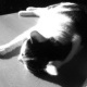 Bastet in Black and White 05