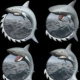 Shark_Small