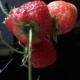 Erdbeeren 001