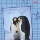 pinguine6b
