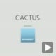 CACTUS – Insulinmanagement