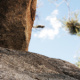 joshua tree park – californien