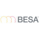 BESA Logo (Brain Electrical Search Analysis)