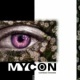 mycon web 0