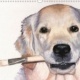 Kalender Arts & Dogs