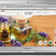 Web / Herbs in the city / Web Design