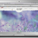 Web / Herbs in the city / Web Design