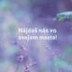 Plakat / Herbs in the city