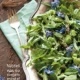 Plakat / Herbs in the city