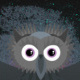 Owl!