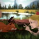 Red Riding Hood & the Fox