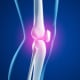 Kniegelenkschmerzen – anatomische 3D-Illustration