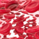 3D-Illustrationen / 3D-Grafiken: Blutkörperchen