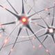 Neuronen, Nervenzelle: Medizinische und wissenschaftliche 3D-Visualisierungen / 3D-Illustrationen