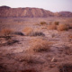 Negev Desert, Israel