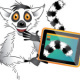 Lemur mit Tablet